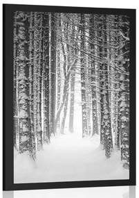 Poszter fekete-fehér hóval borított erdő