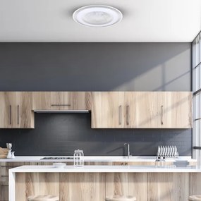 LED Dimmelhető mennyezeti lámpa ventilátorral ZONDA LED/48W/230V ezüst + távirányító