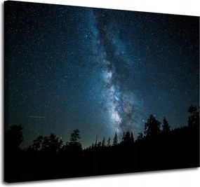 Vászonkép Kozmosz Éjszaka Erdő Köd Természet Csillagászat 100x80