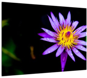 Virágos kép (üvegen) (70x50 cm)
