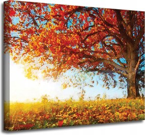 Vászonkép Gyönyörű Fa Piros Levelek Ősz 50x40 cm
