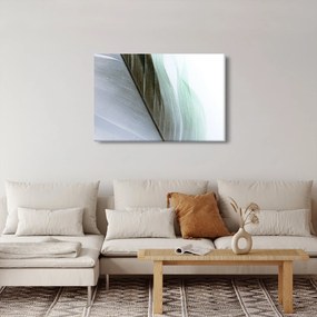 Kép - Tollak, makro (90x60 cm)