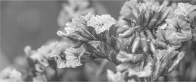 Kép - Szárított virágok (120x50 cm)