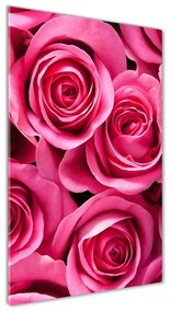 Egyedi üvegkép Rózsaszín rózsa osv-102915574