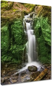Vászonkép 70x100 Vízesés Erdei zuhatag