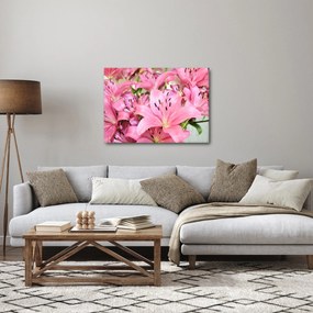 Kép - Rózsaszín liliomok (70x50 cm)