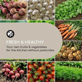 Blumfeldt High Grow Straight, magaságyás, 180 x 60 x 90 cm, 970 l, cinkelt acél, bézs