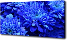 Vászonkép Kék őszirózsa 120x60 cm