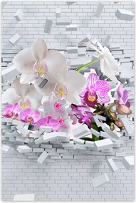 Poszterek 80x120 Orchidea a falon Virágok