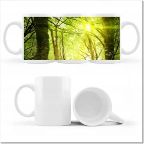 Fényképes bögre Varázslatos erdő Tájkép