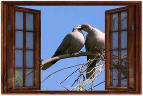 Poszterek 90x60 Szerelem Érzés Párkapcsolat