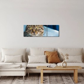 Kép - Házimacska (órával) (90x30 cm)