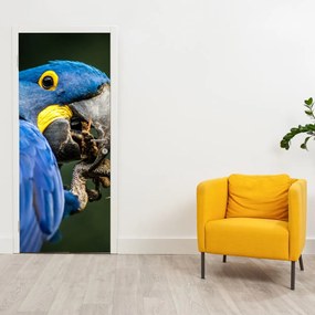 Fotótapéta ajtóra - Papagáj (95x205cm)