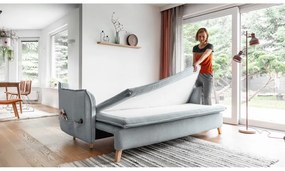 Világosszürke kinyitható kanapé 225 cm Charming Charlie – Miuform