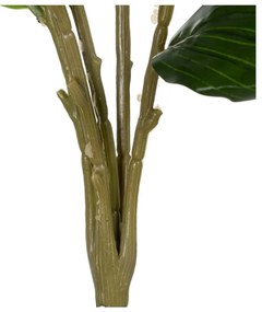 Művirág (magasság 58 cm) Lily – Ixia