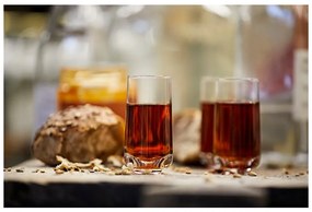 Röviditalos pohár készlet 3 db-os 50 ml Rocks – Zone