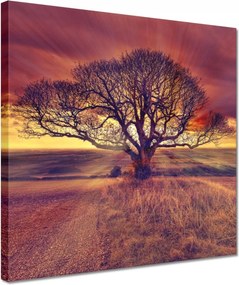 Festmények 30x30 Fa