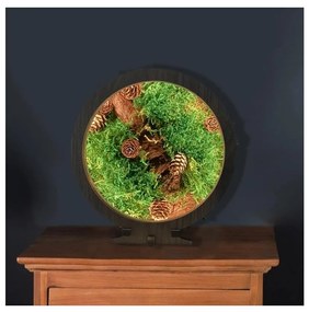 Li-Go 23654 - Fényerőszabályozható asztali dekoráció LED/12W/230V 20x22 cm moha