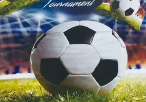 Agynemű GOAL STADIUM 3 részes 140X200 cm