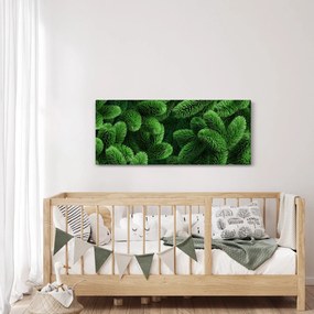 Kép - Tűlevelű gallyak (120x50 cm)