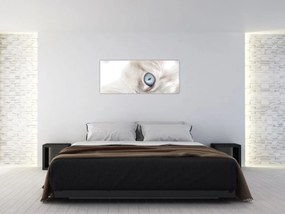 Kép - Kék szemű macska (120x50 cm)