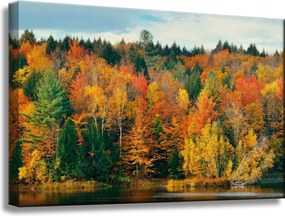 Vászonkép Színes Levelek Fák Ősz Természet 60x40 cm