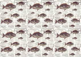 Fotótapéta Halak Újság Vintage Loft Retro Német sajtó 416x254 +ragasztó