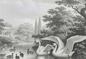 Dekoratív Fotótapéta Furnér Flizelin A természet eleganciája 152x104 Ragasztó