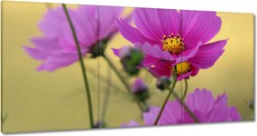 Vászonkép 180x90 Virágok a réten