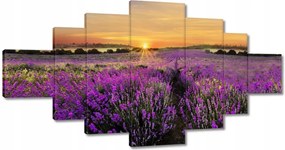 Képek 200x100 Levendula naplemente