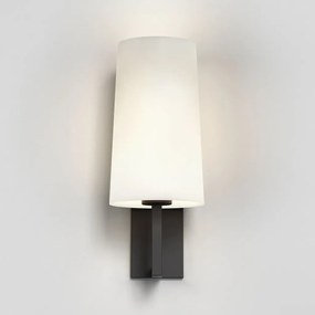 Astro Lighting RIVA 1214015 Fali lámpa 1x12W/E27 IP44