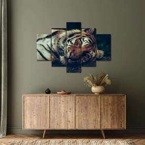 Kép - Szibériai tigris (150x105 cm)