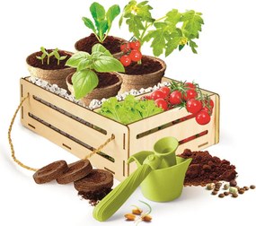 Kertészeti Organic tudományos szett Clementoni