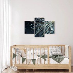 Kép - Virág pókhálóval (90x60 cm)