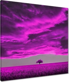 Vászonkép 60x60 Lila tájkép