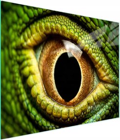 Üveg Vágódeszka 52x30 Szem Edzett Üveg