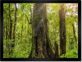 Poszterek keretben 40x30 Gyalogtúra