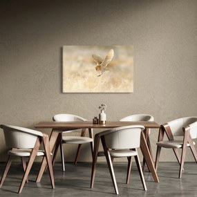 Kép - Bagoly (90x60 cm)