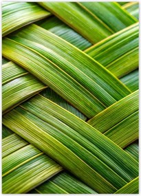 Poszterek 50x70 Zöld fonott zöld rattan fonott lemez