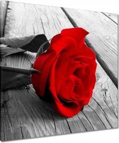 Vászonkép 90x90 Vörös rózsa a deszkákon