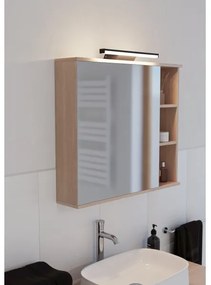 Eglo 901287 - LED RGBW Dimmelhető fürdőszoba világítás REGELLO-Z 12W/230V IP44 fekete