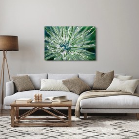 Kép - Makro kép egy virágról (90x60 cm)