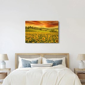 Kép - Napraforgó mező (90x60 cm)