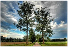 Poszterek 200x135 Vidéki út