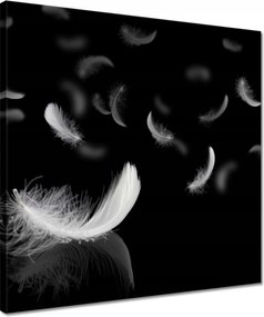 Vászonkép 40x40 Hulló fehér tollak