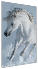Üvegkép Fehér ló galopp osv-118288885