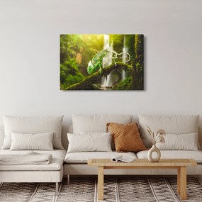 Kaméleon képe (90x60 cm)
