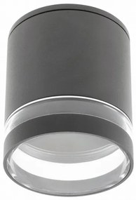 Lámpa Mennyezeti lámpatest RIVEN, aluminium, 102x120, IP54, MAX.35W, kör, grafit