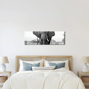 Kép - Afrikai elefánt II. (órával) (90x30 cm)