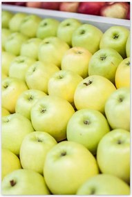 Poszterek 80x120 Piros alma